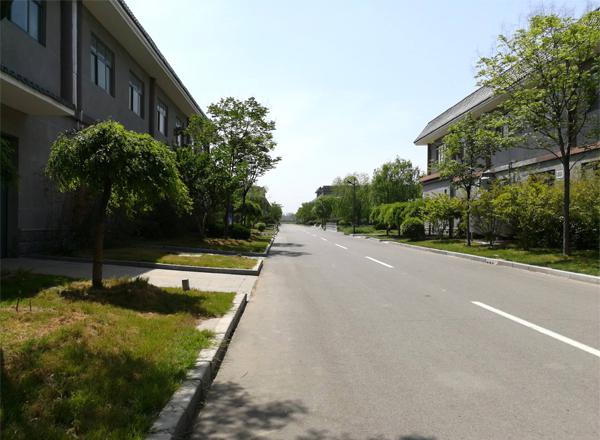 廠(chǎng)區(qū)綠化